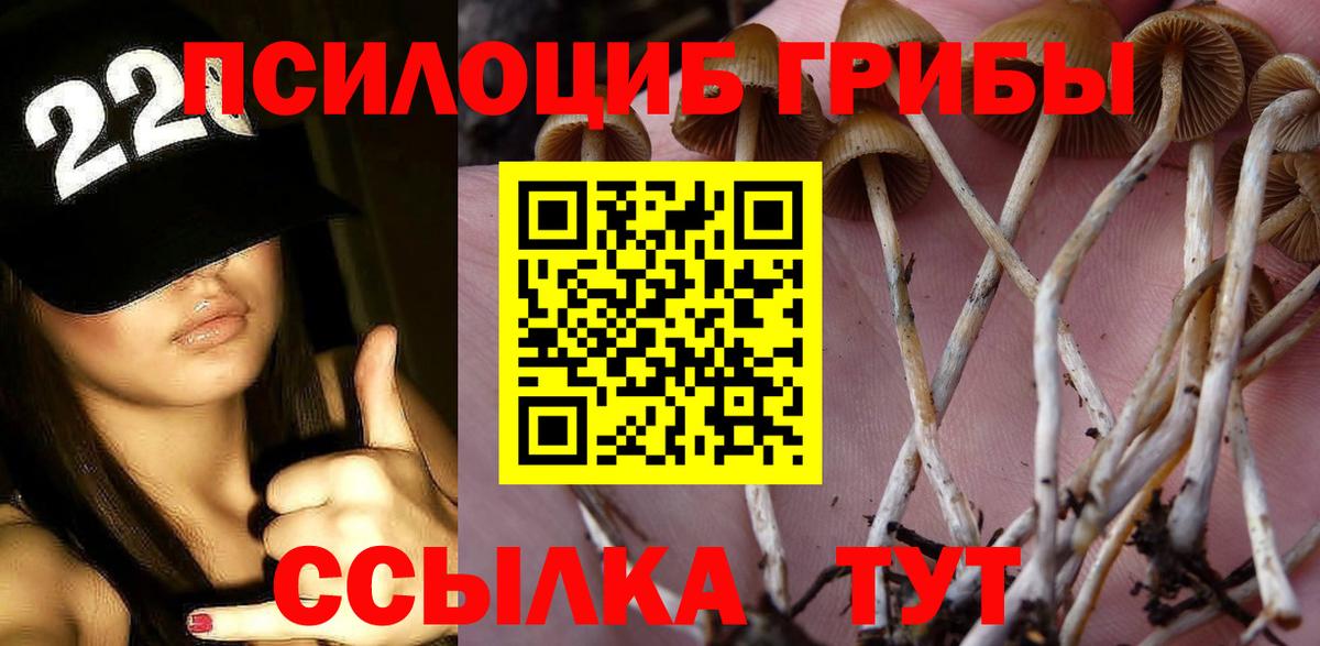 Псилоцибиновые грибы прущие грибы  Вход с VPN  Карталы 